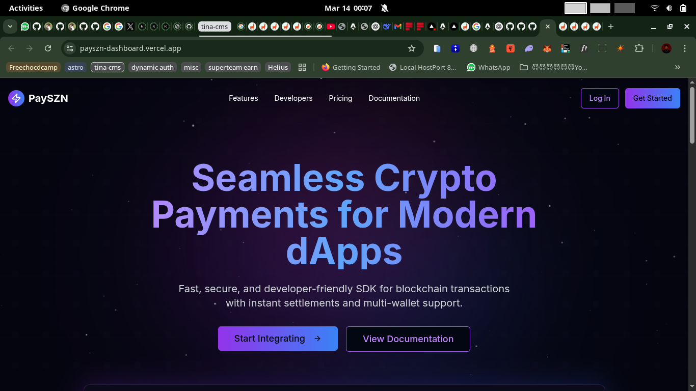 Screenshot of Payszn project